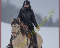 SEMSALES - 0276